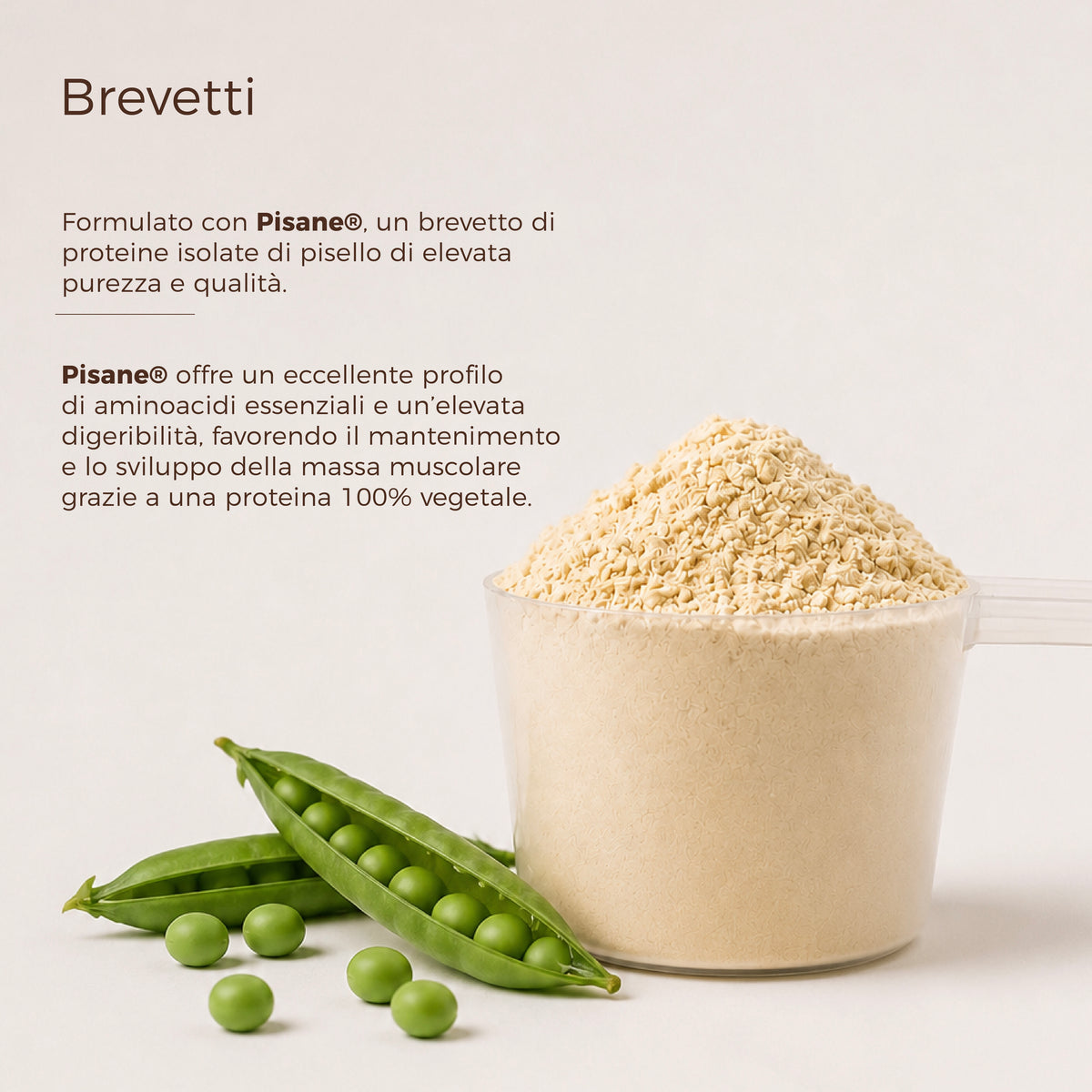 Proteina Vegana 100% — High Protein