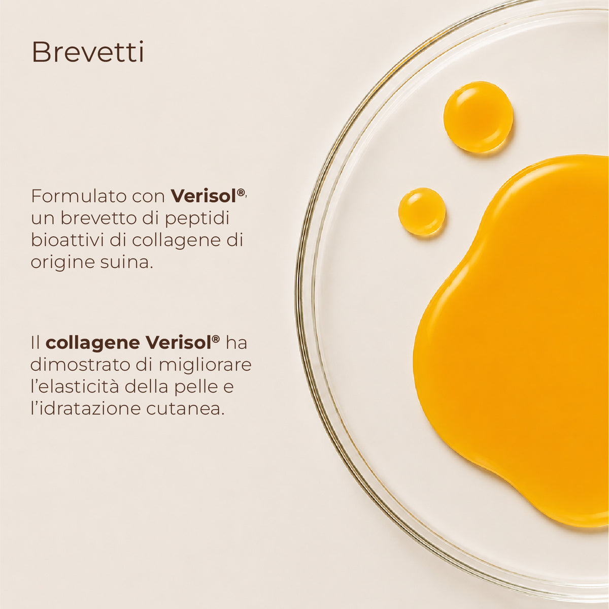 Collagene VERISOL® + Acido Ialuronico