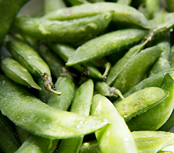 Proteina di pisello (PISANE™)
