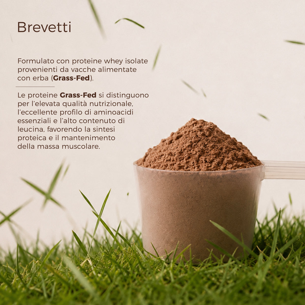 Proteine Whey Isolate Grass-Fed