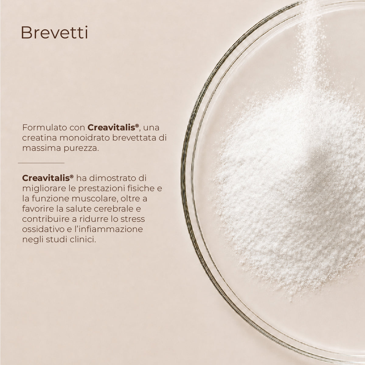 Creatina+