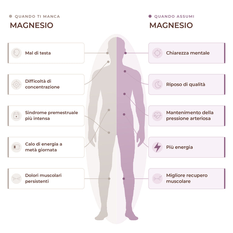 TRIMAGNESIUM: Energia e recupero