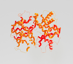 Enzimi digestivi (Digezyme®) 