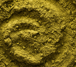 Spirulina