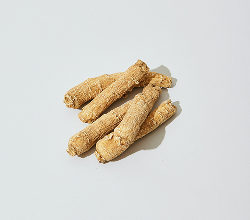 Ginseng
